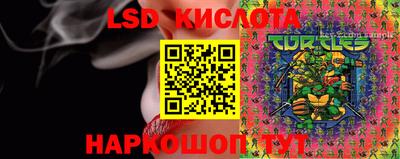 гидра Славянск-на-Кубани