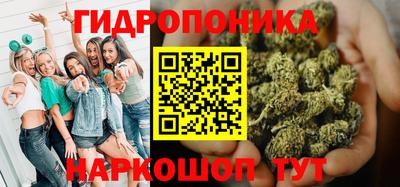 прущие грибы Сланцы