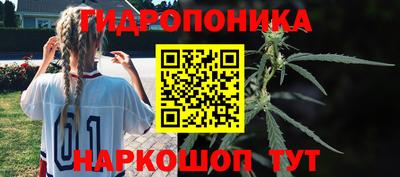 марки lsd Славгород