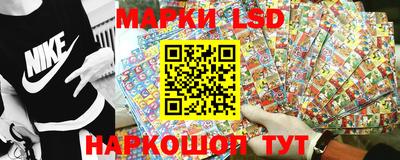 прущие грибы Сланцы
