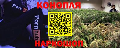 гидра Славянск-на-Кубани