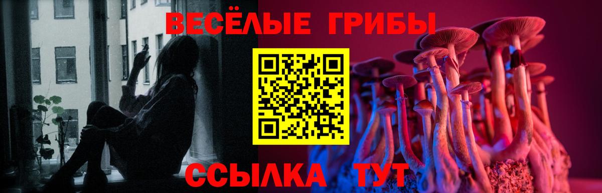 Обь  Псилоцибиновые грибы GOLDEN TEACHER  Галлюциногенные грибы GOLDEN TEACHER  Вход с VPN 